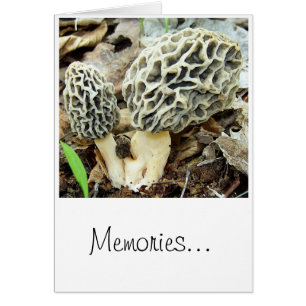 Souvenirs de champignon de morelle