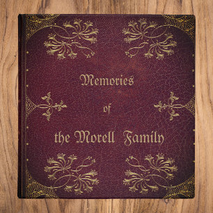 Souvenirs de famille - look antique Classeur