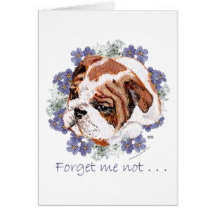 Souvenirs d'English Bulldog