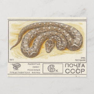 Soviet postage stamp Fhole sand Postcard