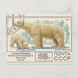 Soviet postage stamp polar bear postcard