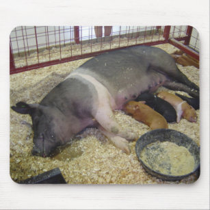 Sow and Piglets Mousepad