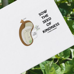 Sow The Seed Of Kindness (Dicotyledon Bean Seed) Business Card