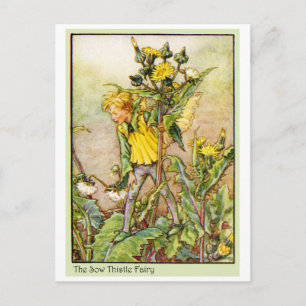 SOW THISTLE FAIRY POSTCARD