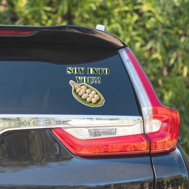 Soy Into You: A Vegan Love Story, (Car Side)