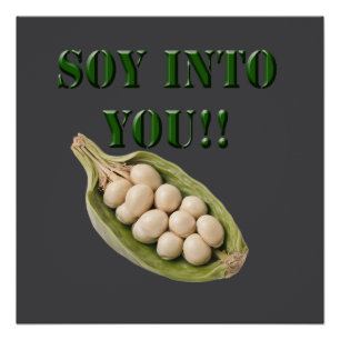 Soy Into You: A Vegan Love Story, Poster