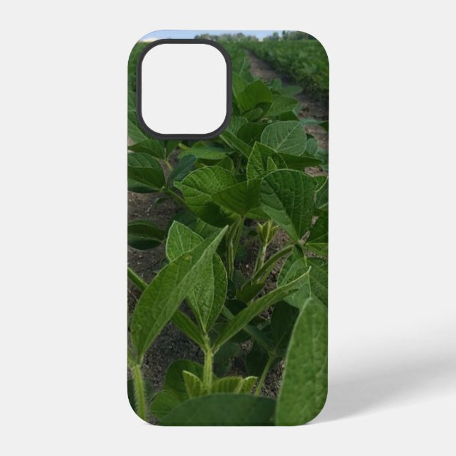 Soybean Rows Farming Agriculture Crops iPhone Case (Back)