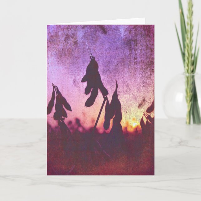 Soybean Sunset Grunge Card (Front)