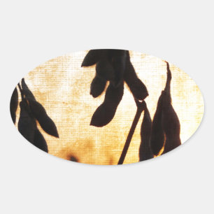 Soybean Sunset Oval Sticker