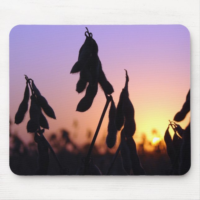 Soybeans at Sunset Mouse Pad (Front)