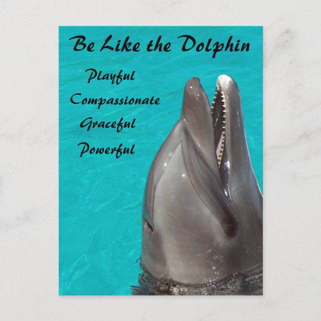 Soyez comme la carte postale Dolphin (Devant)