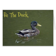 Soyez le canard