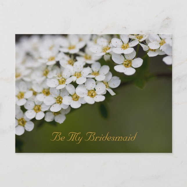 Soyez ma carte postale de femme de ménage Spiraea (Devant)