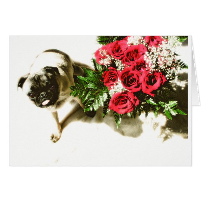 Soyez miennes (Devant horizontal)