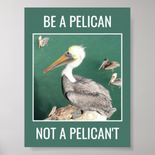Soyez un pélican, pas un pélican Poster Motivation