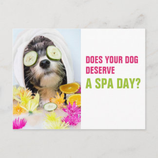 Spa de carte postale de chien Grooming