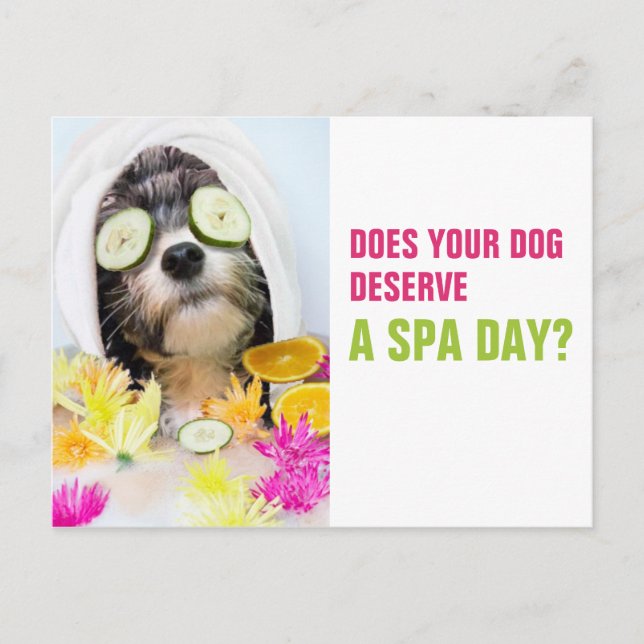 Spa de carte postale de chien Grooming (Devant)