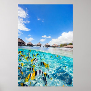 SPA resort Poster