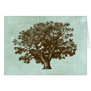Spa Tree IV