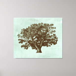 Spa Tree IV Canvas Print