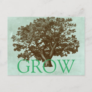 Spa Tree IV Postcard