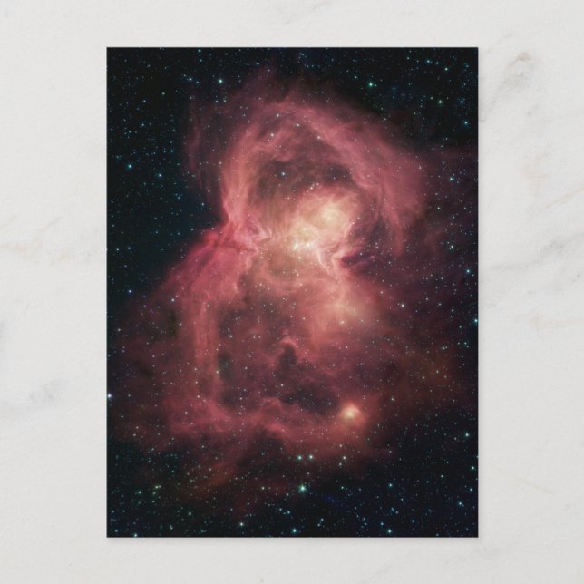 Space Butterfly Nebula Postcard (Front)