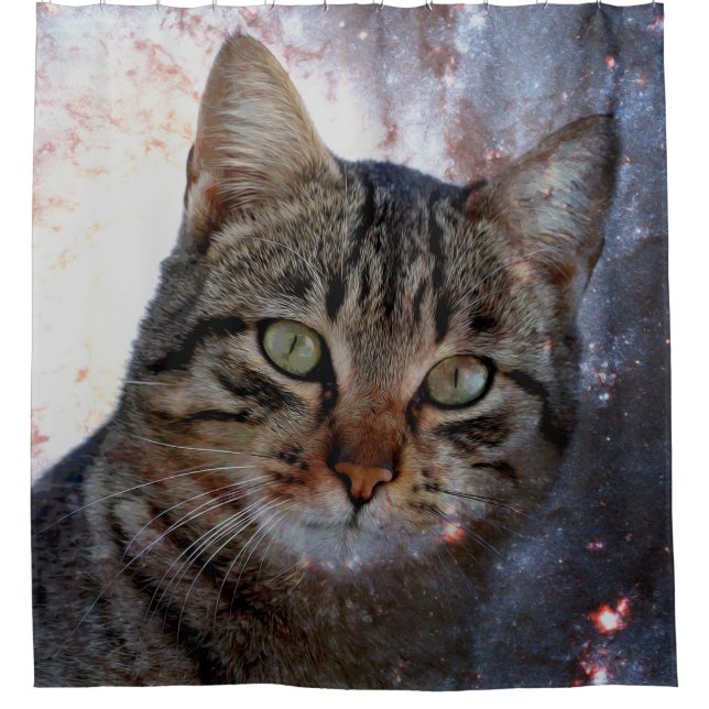 Space Cat (Front)