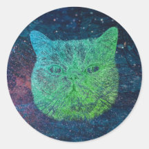 Space cat