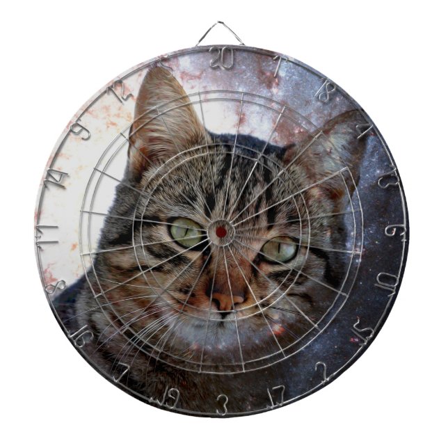 Space Cat Dartboard (Front)