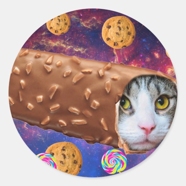 Space cat inside an ice cream classic round sticker (Front)
