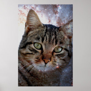 Space Cat Poster