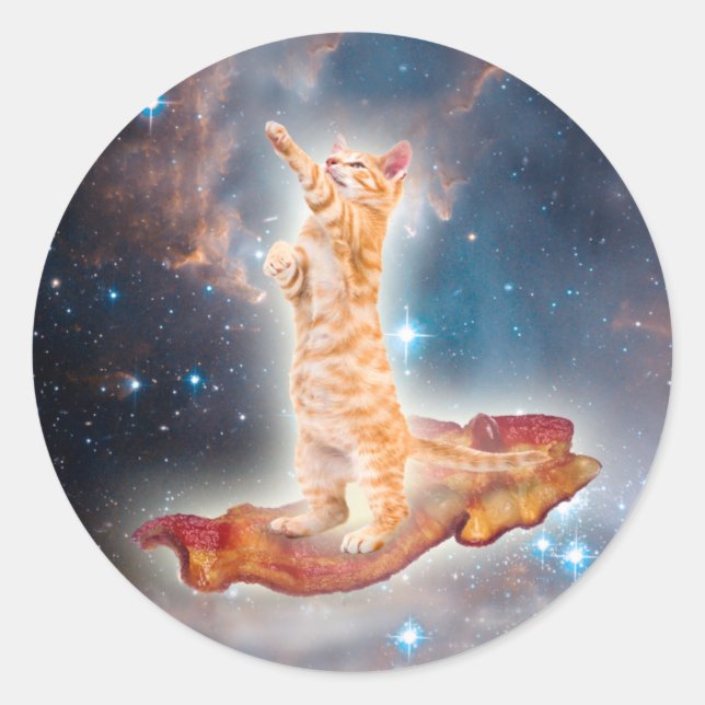 Space cat surfing on the bacon classic round sticker (Front)