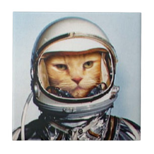 Space Cat Tile