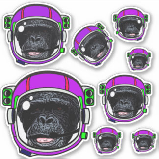 Space Chimp