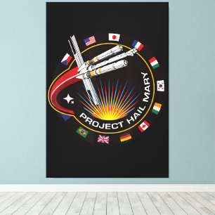 Space Mission Patch Canvas Print