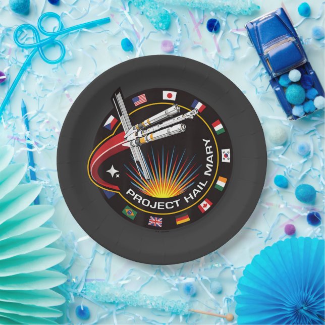 Space Mission Patch Paper Plate (Party)
