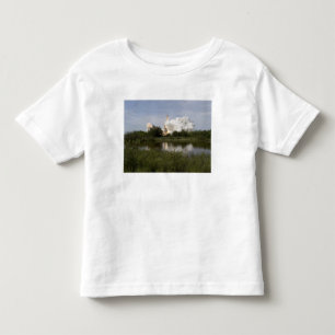 Space Shuttle Endeavour lifts off 6 Toddler T-shirt
