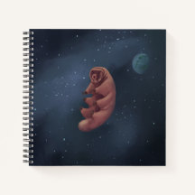 Space Tardigrade notebook