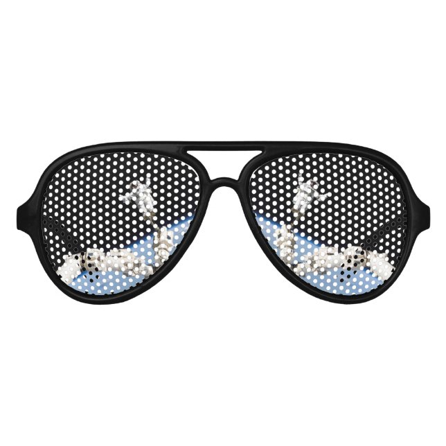 Spacewalker Aviator Sunglasses (Front)