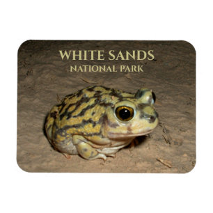 Spadefoot Toad, White Sands National Park Postcard Magnet