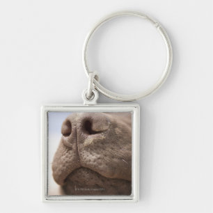 Spain, Costa Blanca, Close-up of chocolate Keychain