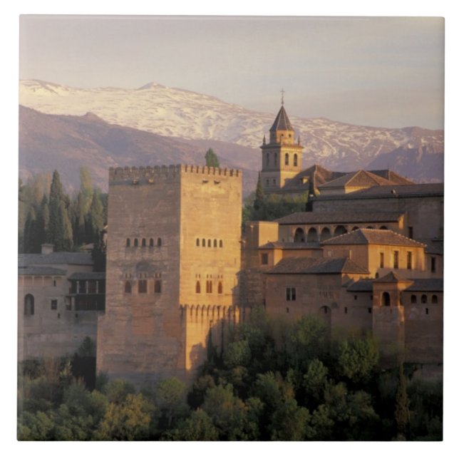 Spain, Granada, Andalucia The Alhambra, Tile (Front)