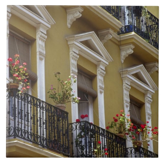 Spain, Sevilla, Andalucia Geraniums hang over Tile (Front)
