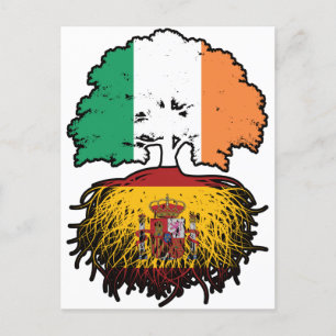 Spain Spanish Irish Ireland Tree Roots Flag Postcard