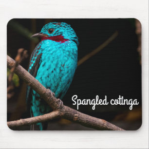 Spangled Cotinga Mouse Pad