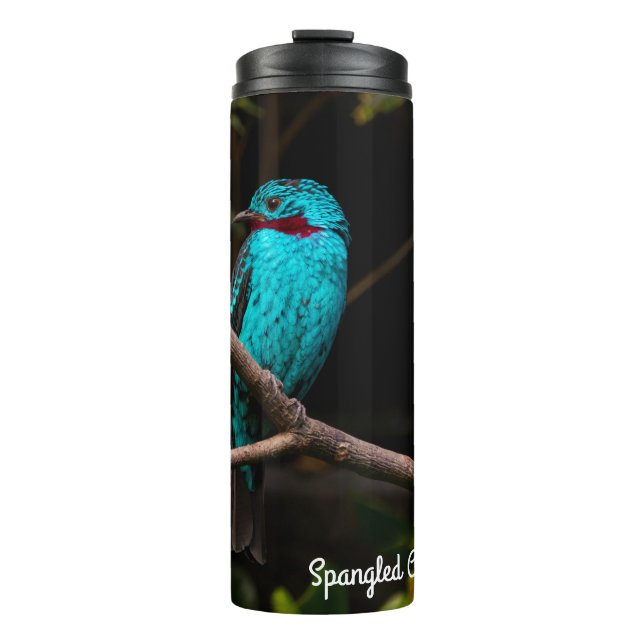Spangled Cotinga Thermal Tumbler (Front)