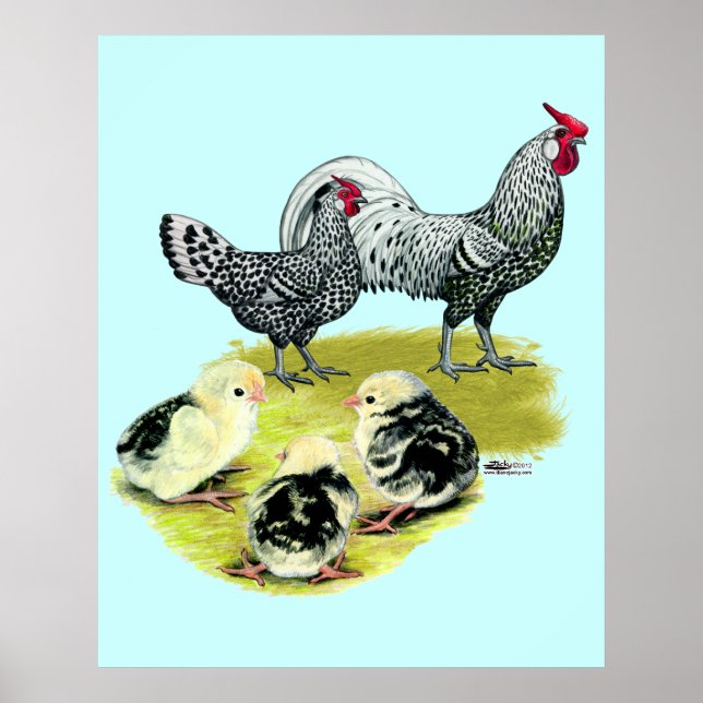 Spangled Hamburg Family Poster (Front)