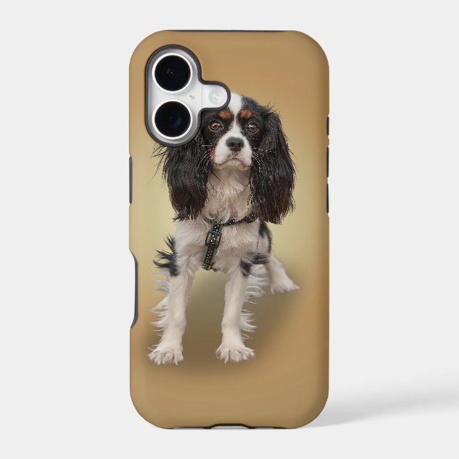 SPANIEL (Back)