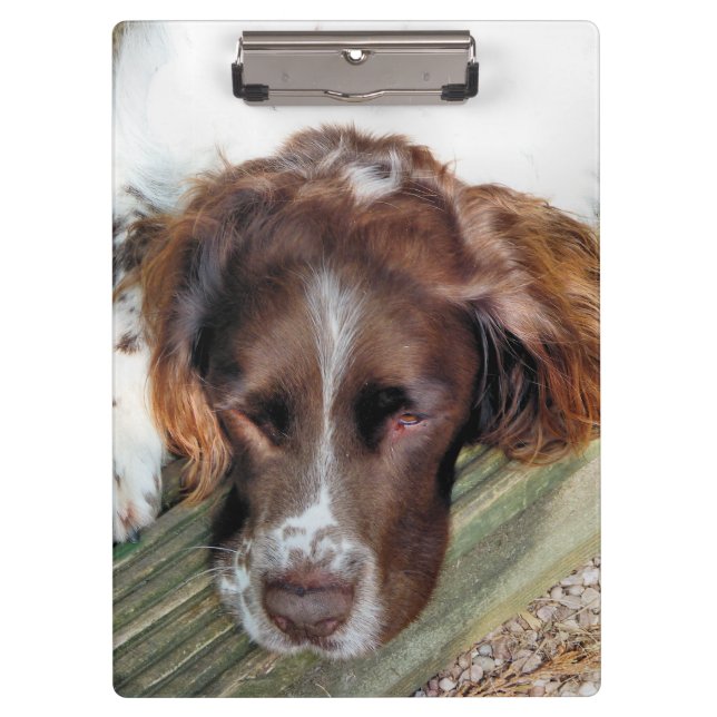 SPANIEL DOG CLIPBOARD (Front)