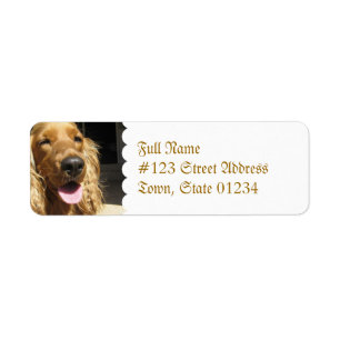 Spaniel Dog Mailing Label
